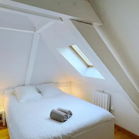 Ferienwohnung Le Balcon Fleuri Centre Robertsau Tram Jardiniers Straßburg Exterior foto