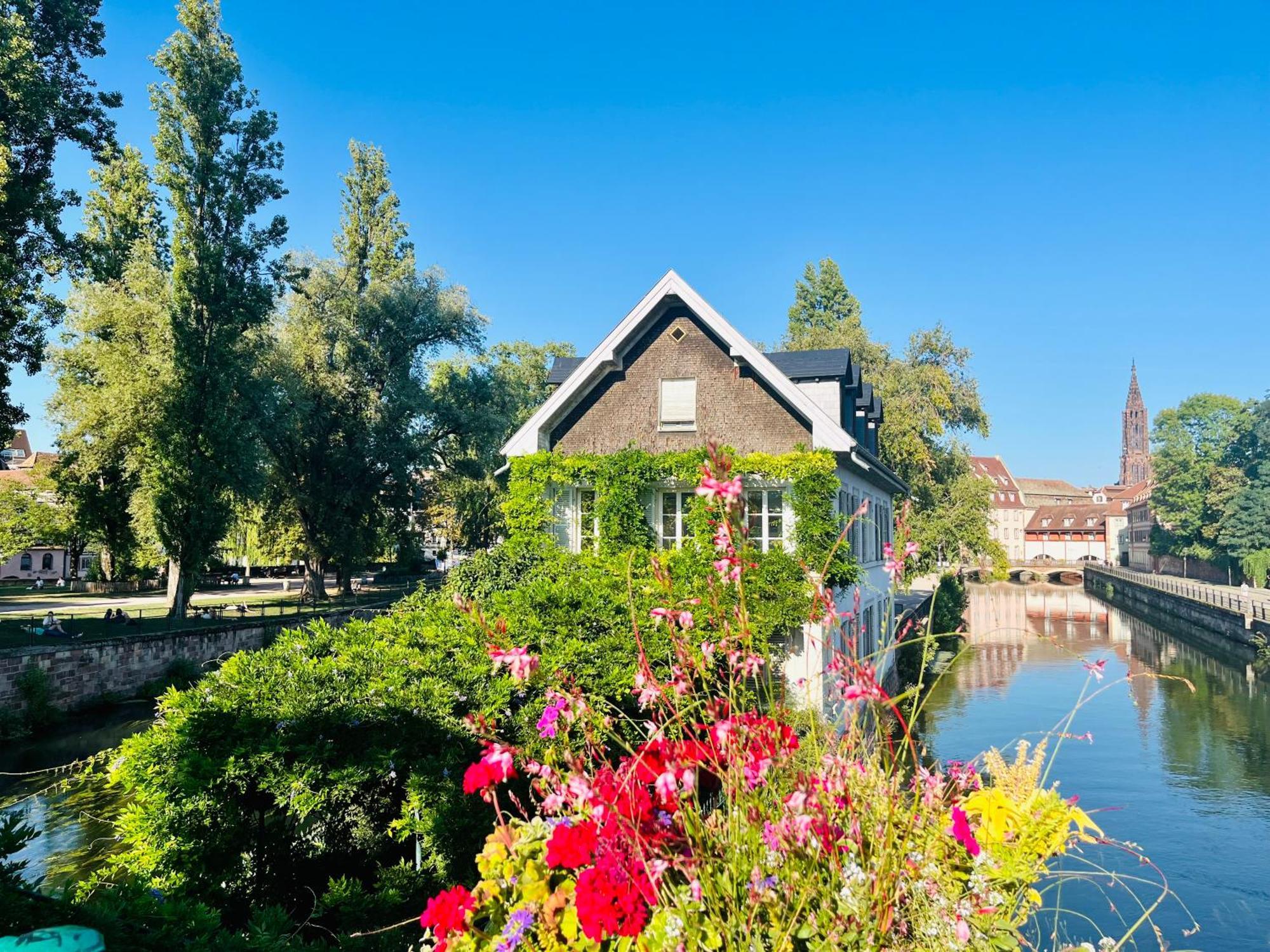 Le Balcon Fleuri Centre Robertsau Tram Jardiniers Appartamento *