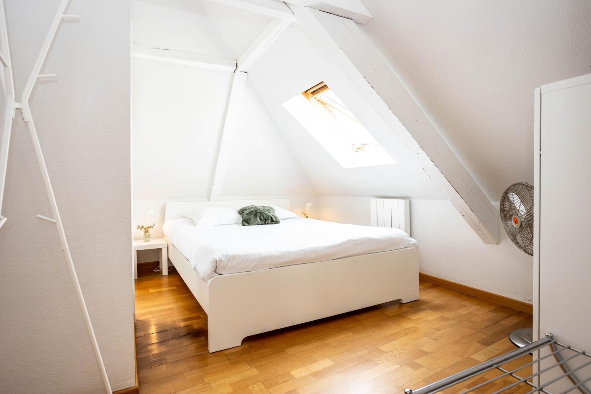 Le Balcon Fleuri Centre Robertsau Tram Jardiniers Appartamento